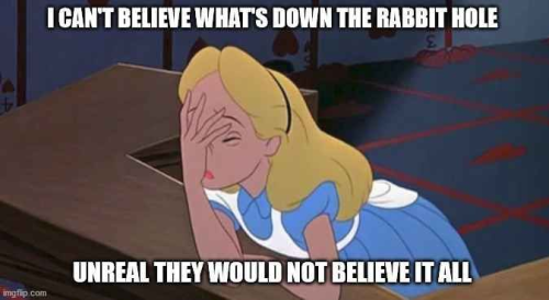 b9bc1c38-28c5-49f8-9af0-1fa964ca2c64