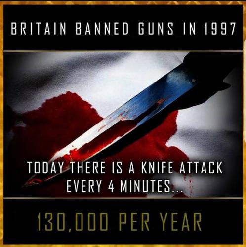 GunControl343