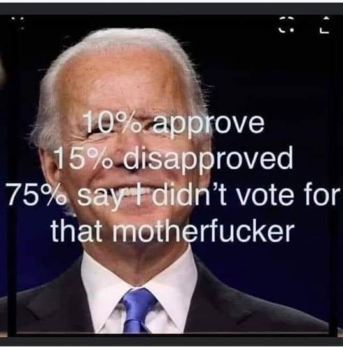 47314D28-8A4F-4AE8-8AE3-C5C58A11EABB