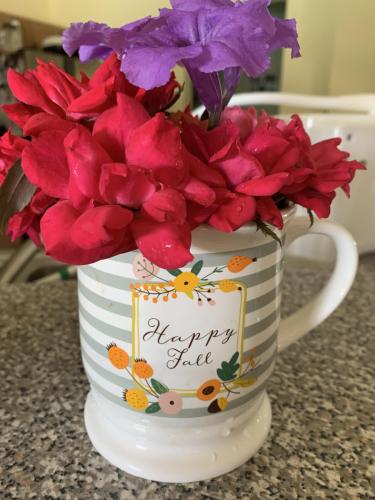 028716A0-964E-4FF5-98CC-34FB341D9899