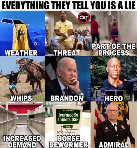 everything a lie