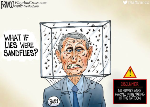 if lies were sandflies