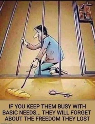 Keep them busy