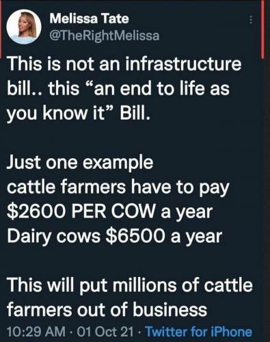 image_1633419641.395