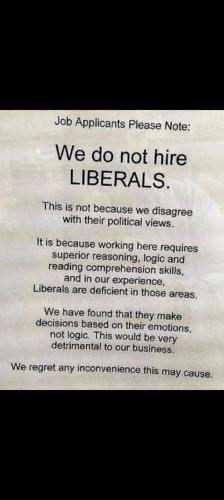 image_1635005329.159