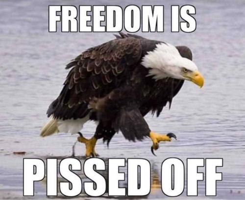 6FB03118-04C9-4C1C-9374-B02354F40539