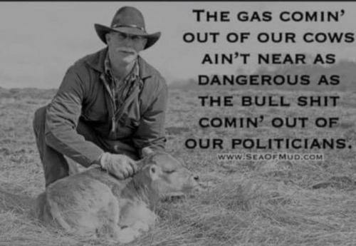 THE GAS COMING OUT OF OUR COWS