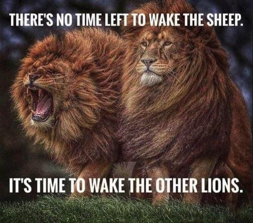 B1DEBEF9-7303-4030-AD51-D9F9A0EB3CAC