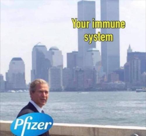 ImmuneSystemVSPfizer1