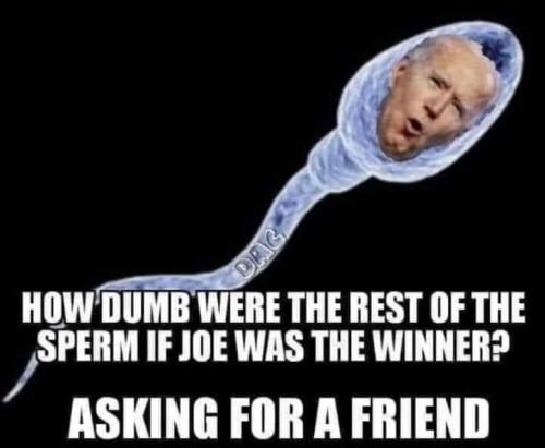 how dumb where the rest