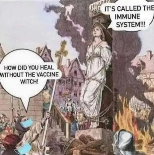 how-heal-without-vaccine-covid-immune-system-witch-burned-stake.jpg