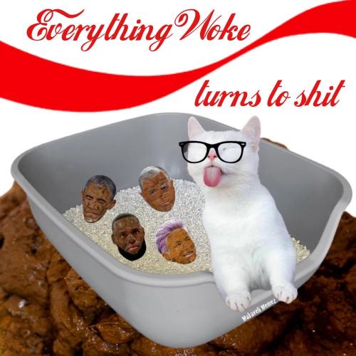 B49355BE-CAD9-4AE4-97BA-C853E64CF73E