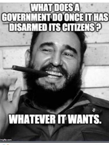 GunControl376