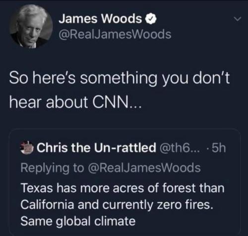 FOREST MANAGEMENT
