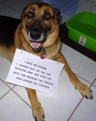 FB_IMG_1634672936807