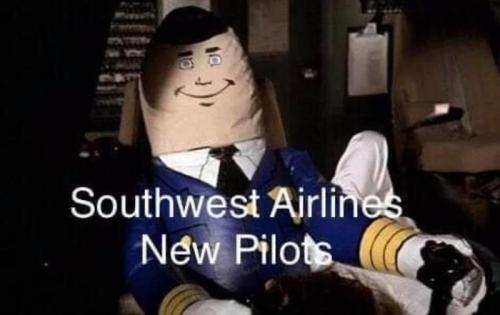 new pilots