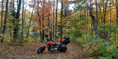 IMG_20211001_170342198_HDR