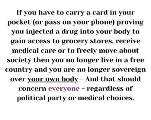 FC07D6E7-729B-4E7A-BC23-6500CEEA092D