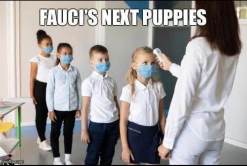 IMG_20211030_095617_772