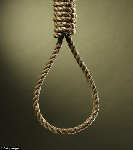 40E27C7000000578-4549748-A_noose_was_found_hanging_from_a_tree_outside_a_museum_in_Washin-m-16_1495979015964