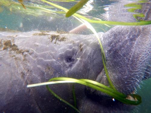 8DC9F791-D0CE-42E9-BFAC-842667C29BDD