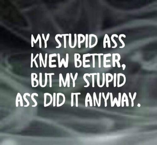 15590141_1383771668341320_1696863468258666896_n