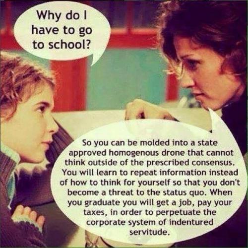 Education Why School