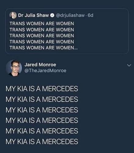 TransMercedes1