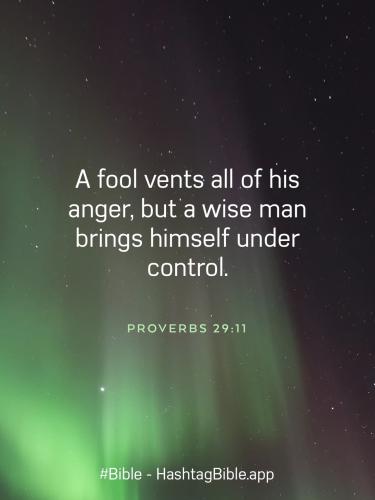 42DA9D2E-998E-496B-9D5F-761DC0C7406D