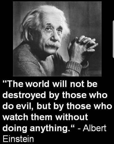 CD35A391-C0B0-438E-95CD-FB8443C7EE69