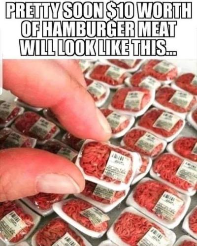 251188816_4438197082883733_7417053202690185300_n