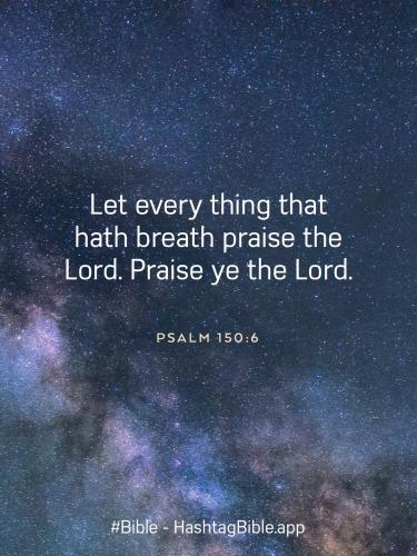 F40BA67B-6CD3-4C0E-8BC0-9ED92E254AE1