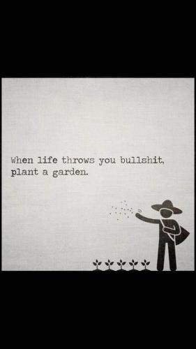 CA390338-02ED-4FCE-B27D-95DE4D345B3E