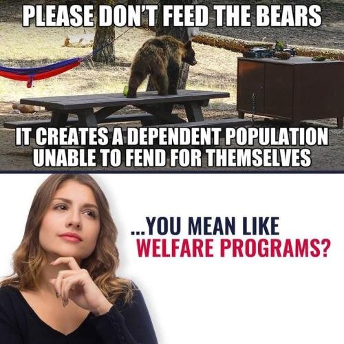 like welfare