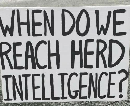 5E0B3A28-7785-4573-8C2B-A59008175159