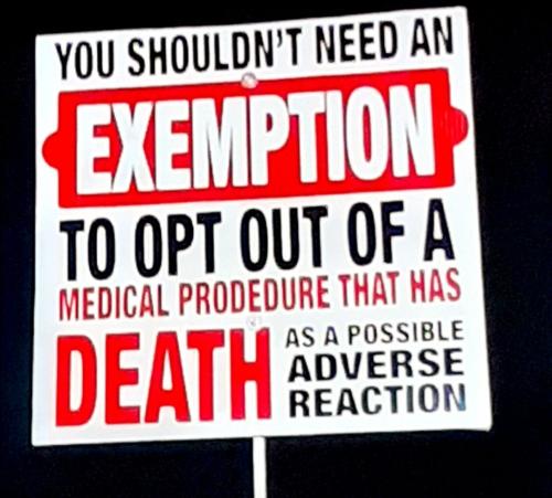 Screenshot_20211026-024210_Gallery