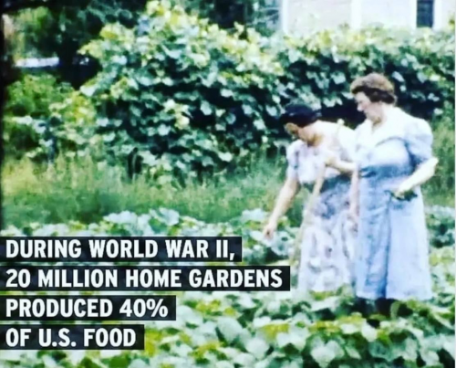 ohXBdXxQnfyj7gf39ReP_07_5aef09f9c10f226cdf2416d30e063c32_image_original