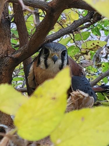 Resized_20211031_140036