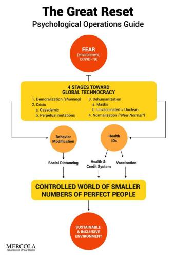 5e856ba2f2a4008a17f9824cddb917b1_500x0