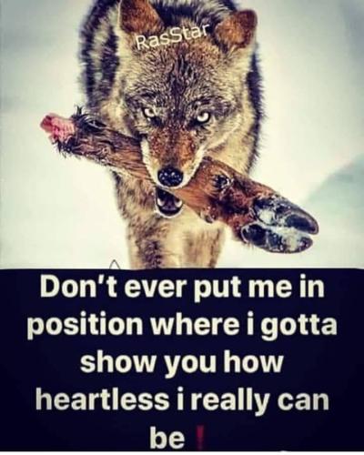 Tumblr_l_111496975274445