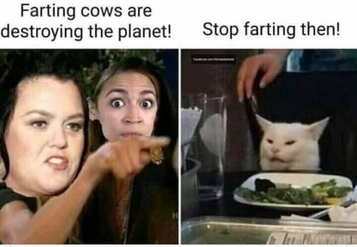 img.jpg c