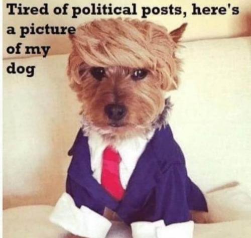 image_1634608853.024