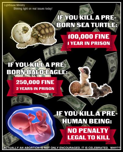 CE36D88F-7DC3-4F49-AA72-03B8DFF71ED9