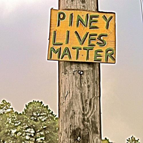 26171002_10213893613481716_709105884271743806_o