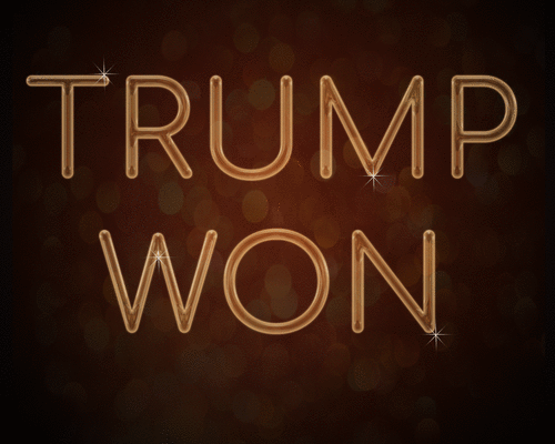 TrumpWonBrownSparkles1