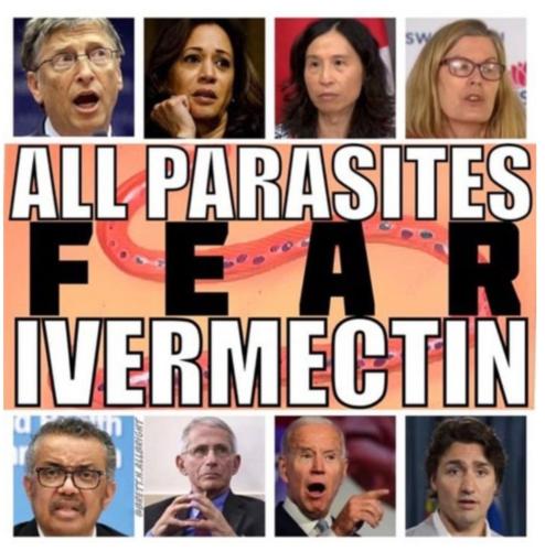 Screenshot_20211015-145128_DuckDuckGo