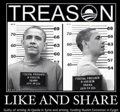 obamatreason