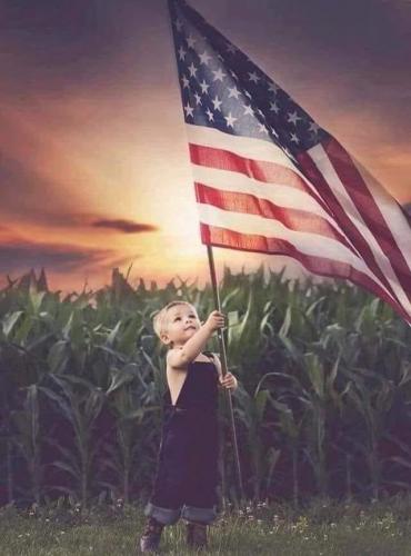 Flag - Child in corn field