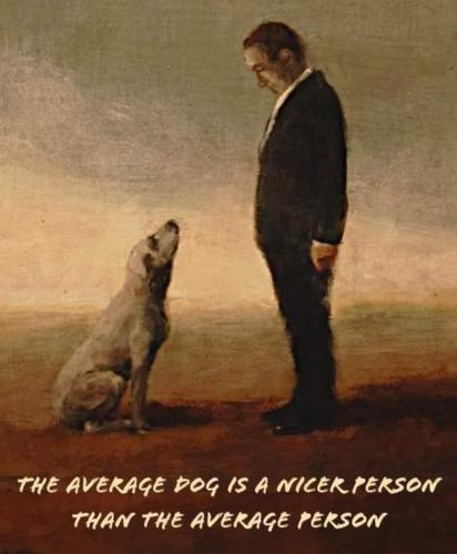 Average Dog