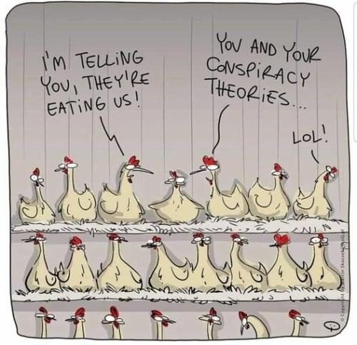 conspiracy-chicken